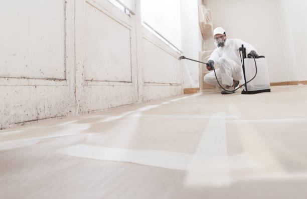 24/7 Emergency Mold Cleanup experts in Clarksville, TX