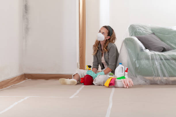 Reliable Mold Cleanup contractor in Clarksville, TX by Cheap Mold Removal